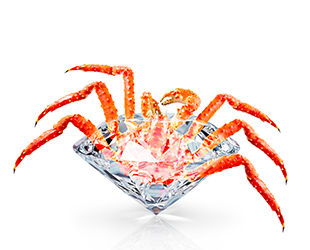 King Crab épaule