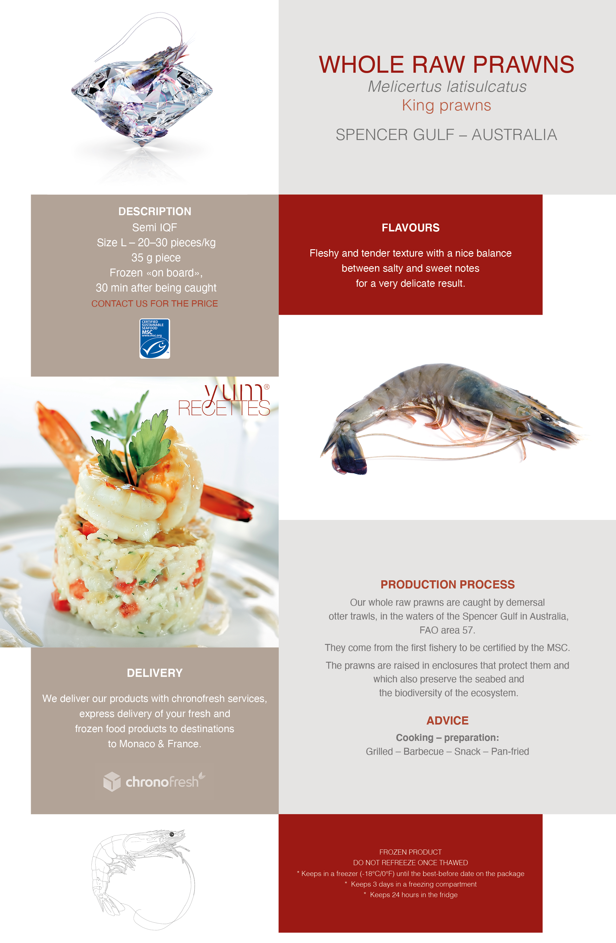 Fiche King Prawns UK